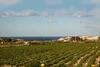 Bed & Breakfast Gozoluca