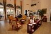Paloma Hearth 554