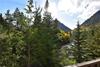 Cross Creek 203 (condo)