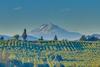 River Song Country Chateau