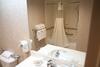 Hotel Hampton Inn Greeneville