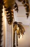 Hotel Gramont Opera