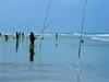 House Le Windsurf