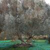 Bed & Breakfast A Loghja Di Cavallo Morto