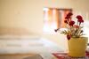 Hostal Guest House Vasilena