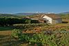 Hotel Asclepios Wellness And Healing Retreat