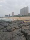 Beach Frond Apartment