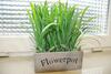 Albergue Grey House
