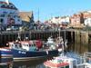 Curlew Cottage, Whitby