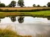 The Stables, Market Drayton