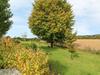 7 Horizon View, Liskeard