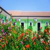 Lido San Giuseppe Hotel
