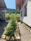 Villa ????? - Osier