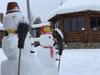 Cottage Karinka