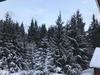 Cottage Karinka