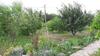 Hostal Villa Blau