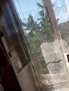 Hostal Cottage U Evgenii