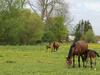 Idyllic Holiday Home In Biendorf Near Forest