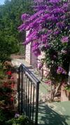 Hostal Guest House Neda