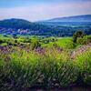 Bed & Breakfast Villa Veli Nova
