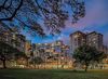 Hotel Castle Waikiki Grand(city V)