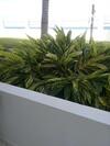 Apartamento Ocean Dreams