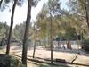 Apartment Jardin Azur