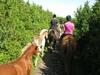 Hostal T�nise Majatalo