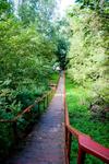 Camping M�nnisalu