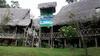 Hostal Lodge Jungle Wolf Expeditions