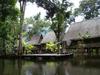 Hostal Lodge Jungle Wolf Expeditions