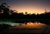 Hostal Lodge Jungle Wolf Expeditions