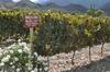 Hostal Miraluna Caba�as