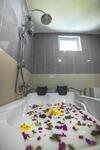 Hostal Green Wing