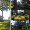 Africawildtruck Eco Camp & Lodge