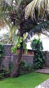 Bed & Breakfast Anja Guest House