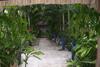 Hostal Posada El Jardin