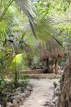Cavelands In The Jungle