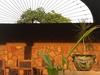 Callihostal Tepoztl�n