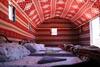 Bedouins Desert Camp