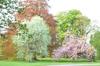 Bed & Breakfast St Albans House