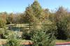 Hostal Mutafova House