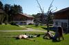 Pineta Natural Chalet