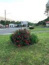 Motel Ellijay Inn