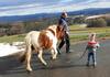 Agroturismo Wiesenbauer - Schl�gl Anton