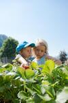Hostal Appart-pension Steger