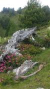 Agroturismo Simonbauerhof