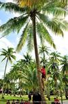Hotel Loola Adventure Resort