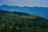 Apartamento Elite 1br Stay In Chinakkanal, Munnar
