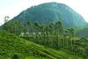 Hotel Hillon Resorts